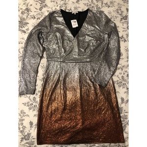 Shimmer Ombré Bodycon Dress